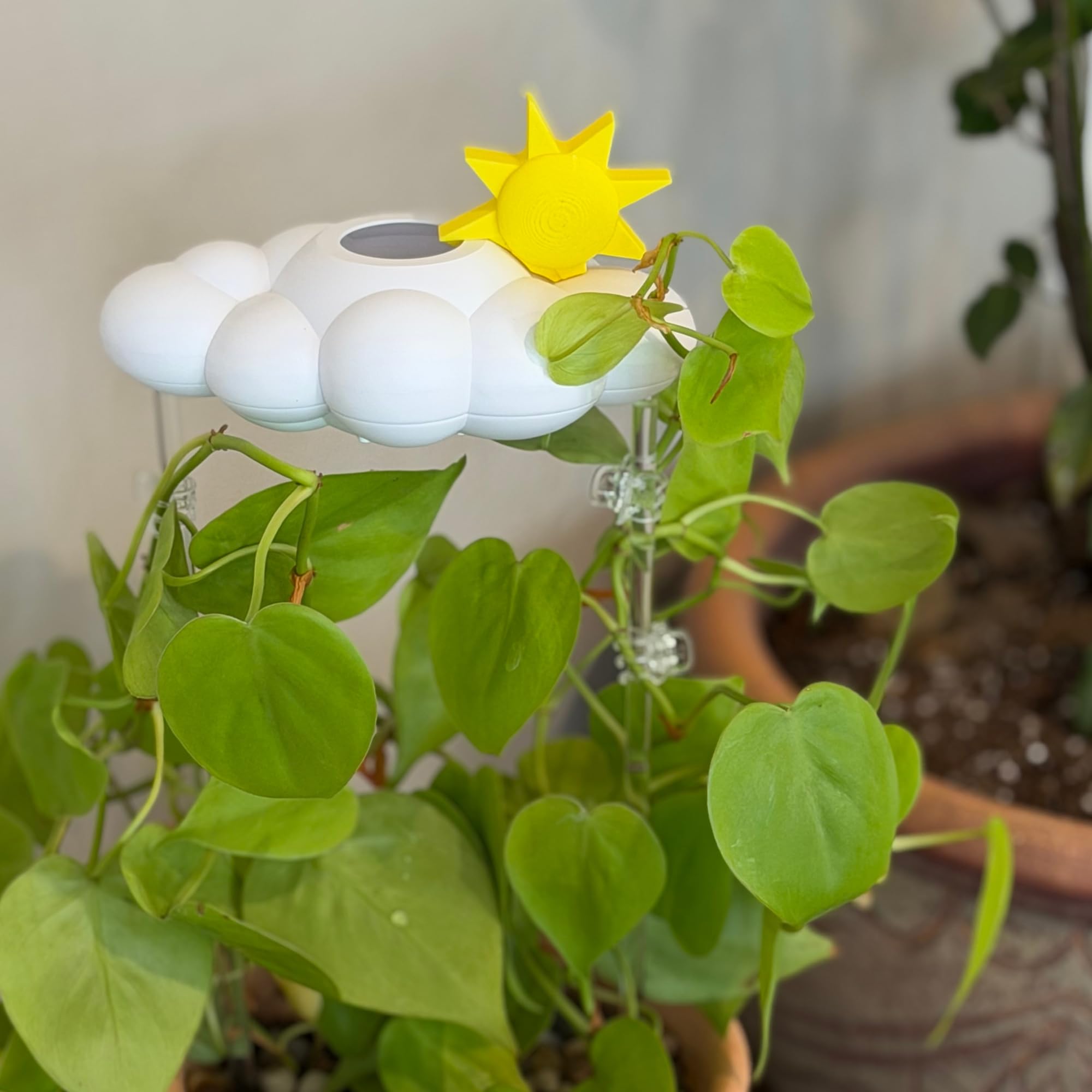 THE CLOUD MAKERS ready-to-use recyclable packaging illustrating gift appeal