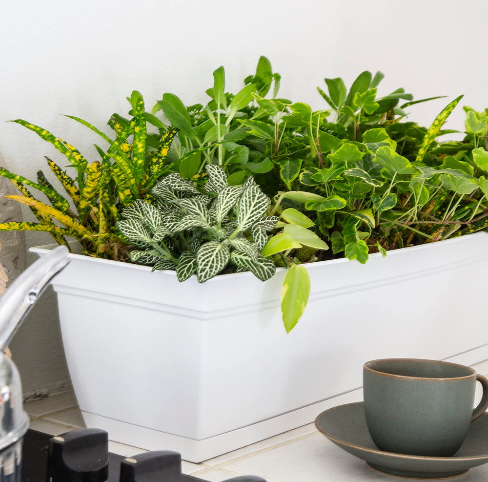 The HC Companies planter filled with herbs demonstrating kitchen-ready convenience
