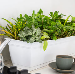 The HC Companies planter filled with herbs demonstrating kitchen-ready convenience