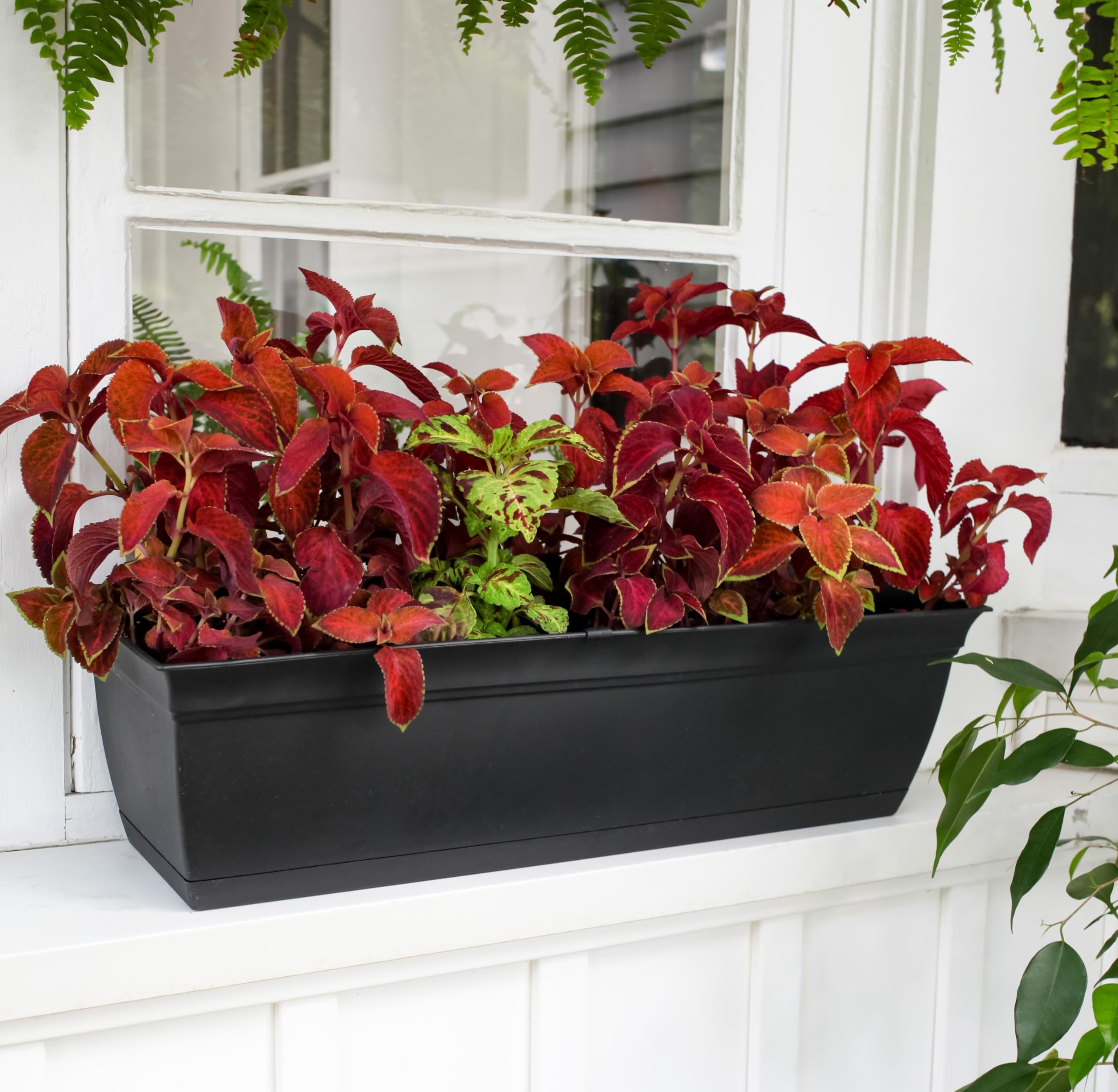 The HC Companies window box removable saucer detail for easy watering and drainage