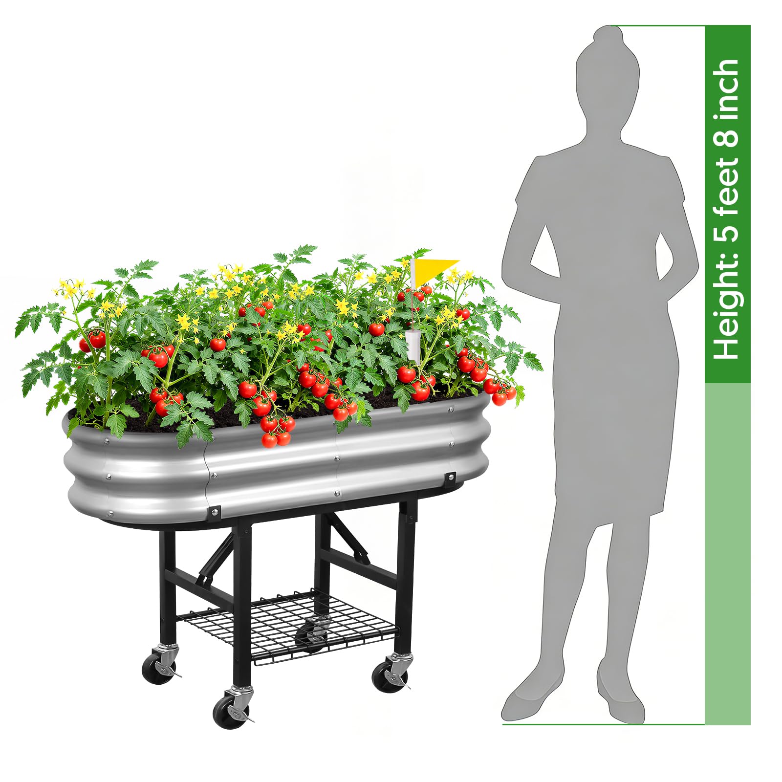 The Home Cult reservoir fill port view enabling easy top-up and low-maintenance care