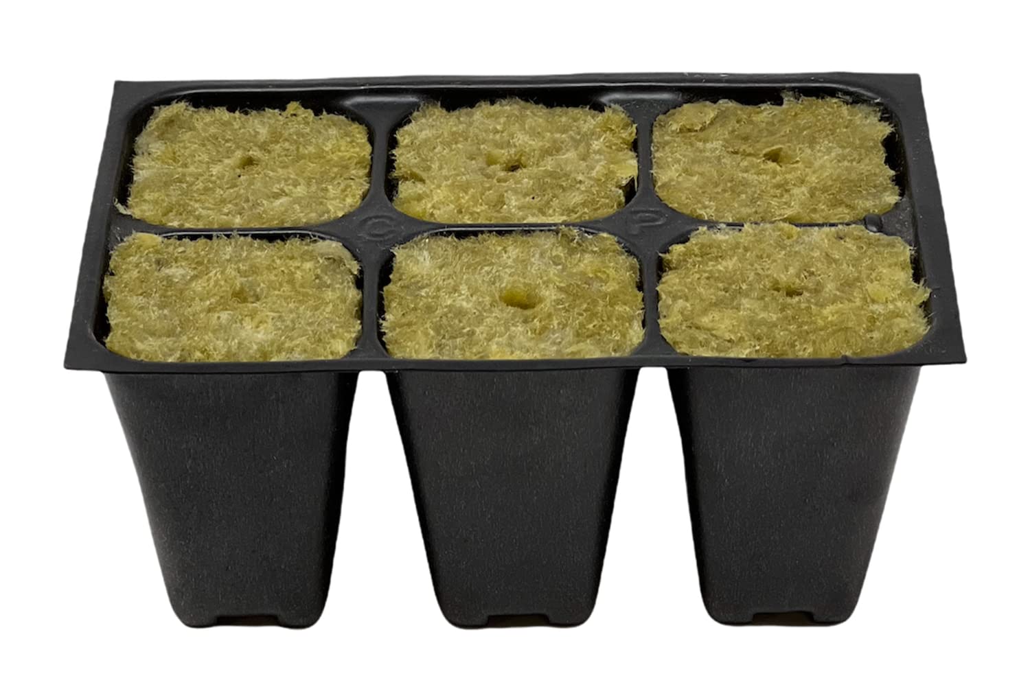 The Hydroponic City trays in a greenhouse demonstrating uniform seedling growth advantage