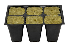 The Hydroponic City trays in a greenhouse demonstrating uniform seedling growth advantage