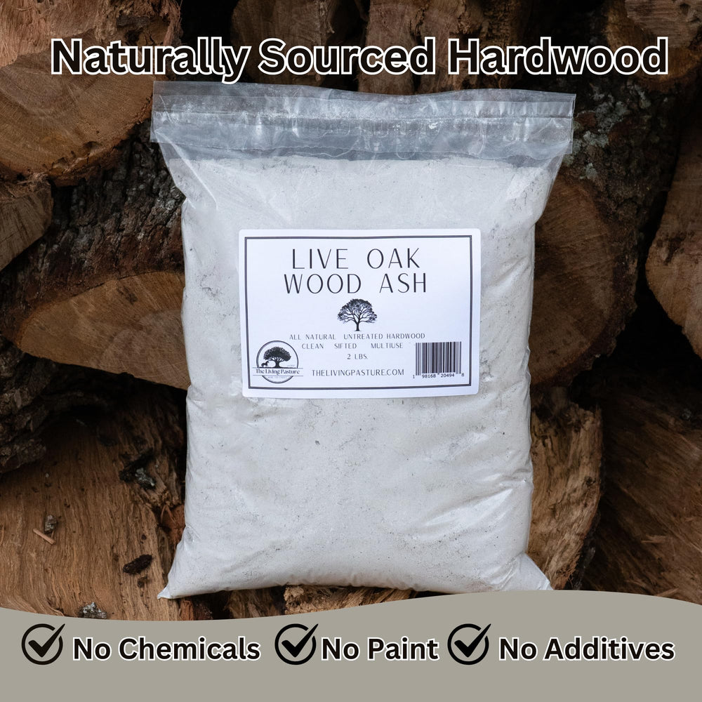 The Living Pasture close-up of fine-grain live oak ash displaying consistent texture for soil amendment