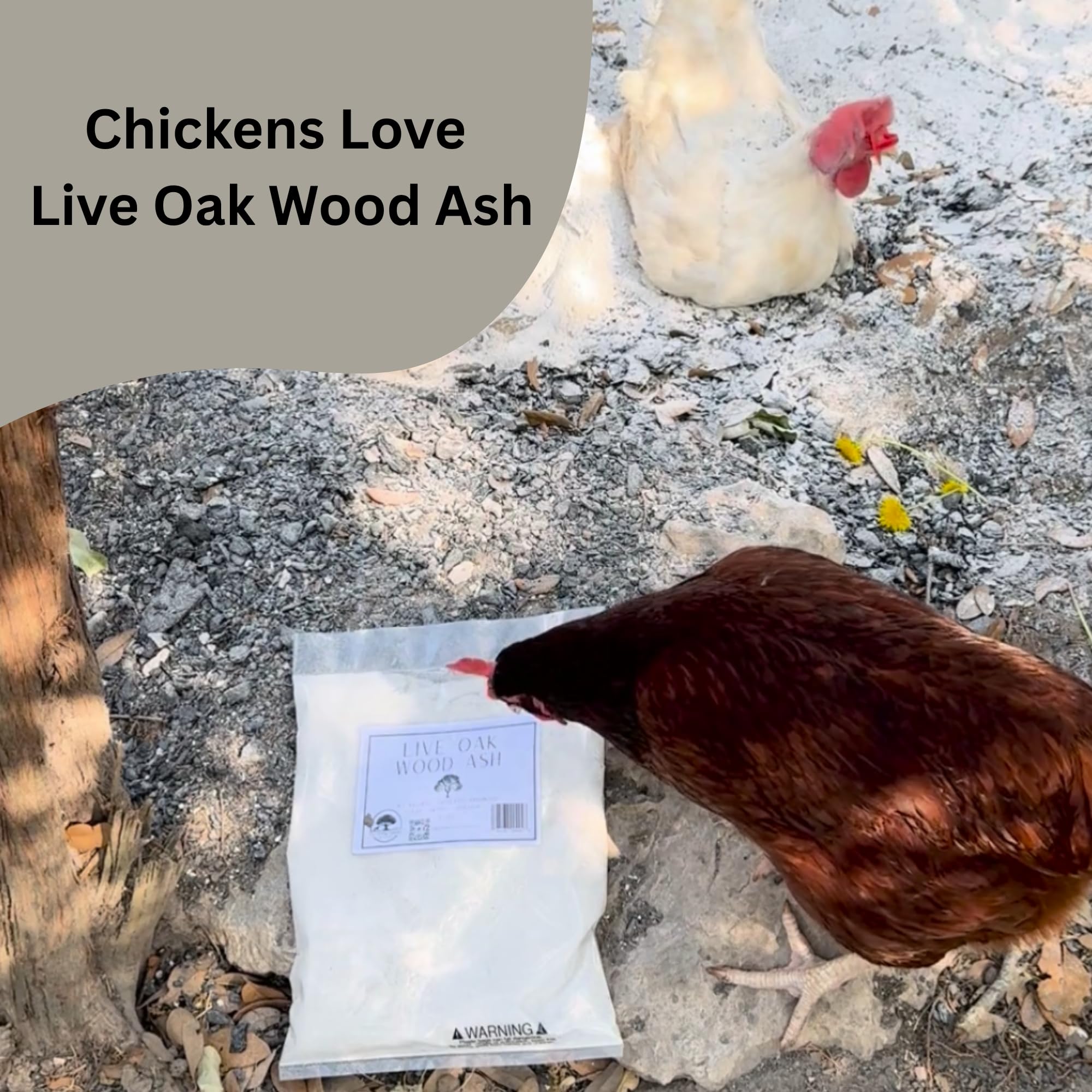 The Living Pasture sealed 5 lb bag stored on a shelf showing dry storage to preserve quality