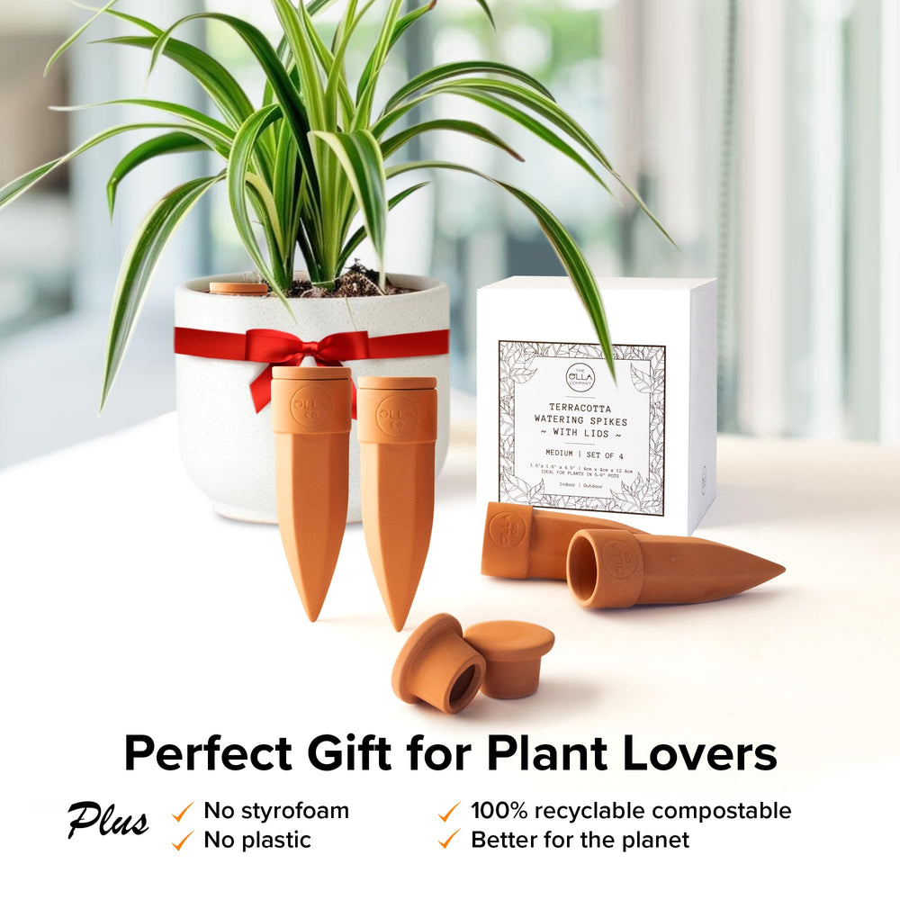 The Olla Company spikes in balcony planter illustrating low-maintenance gardening