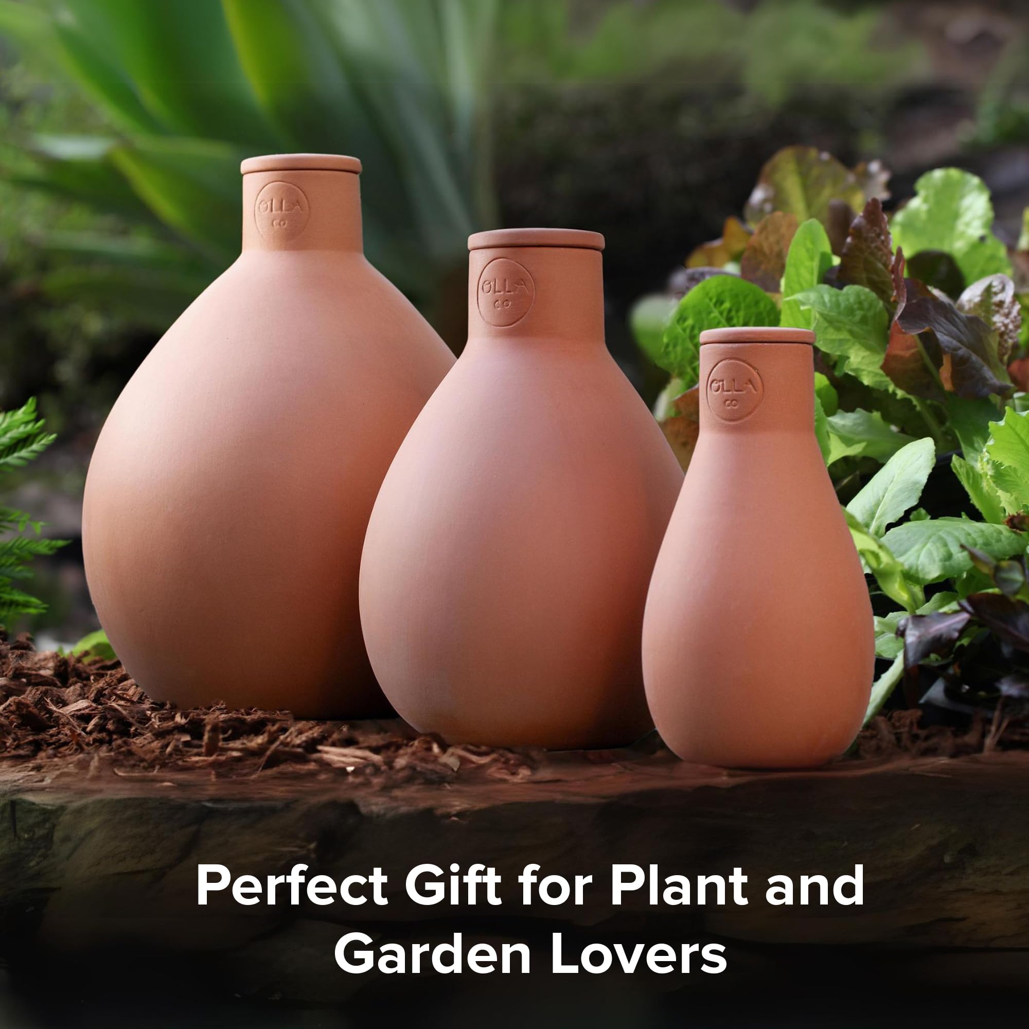 The Olla Company terracotta Olla in a patio garden lifestyle scene illustrating low-maintenance watering and tidy beds