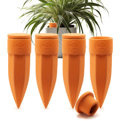 The Olla Company medium 4 pack front view showing packaging and four spikes