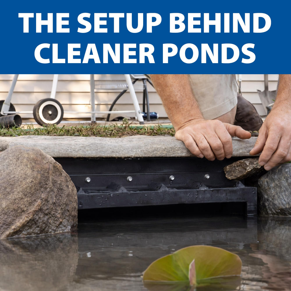 The Pond Guy skimmer installed at pond edge skimming floating debris effectively