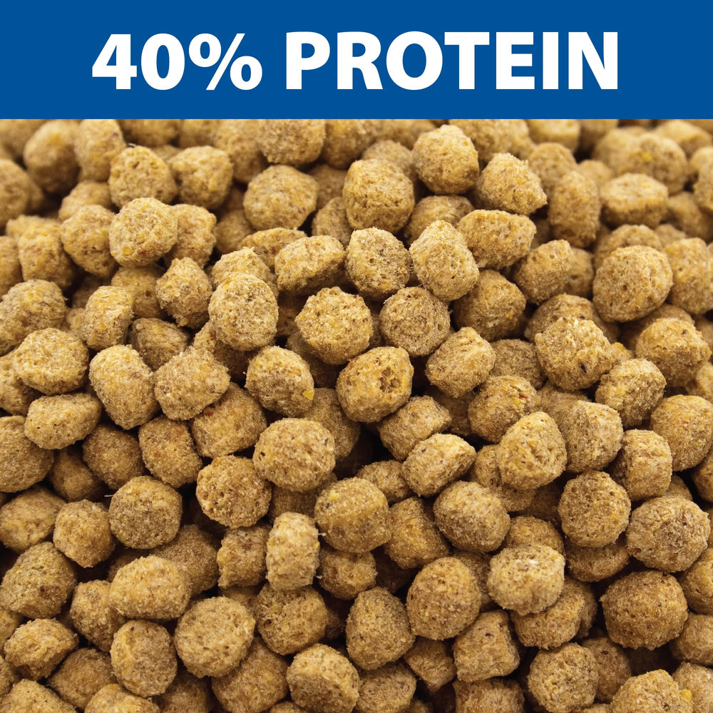 The Pond Guy pellet close-up showing texture for high digestibility