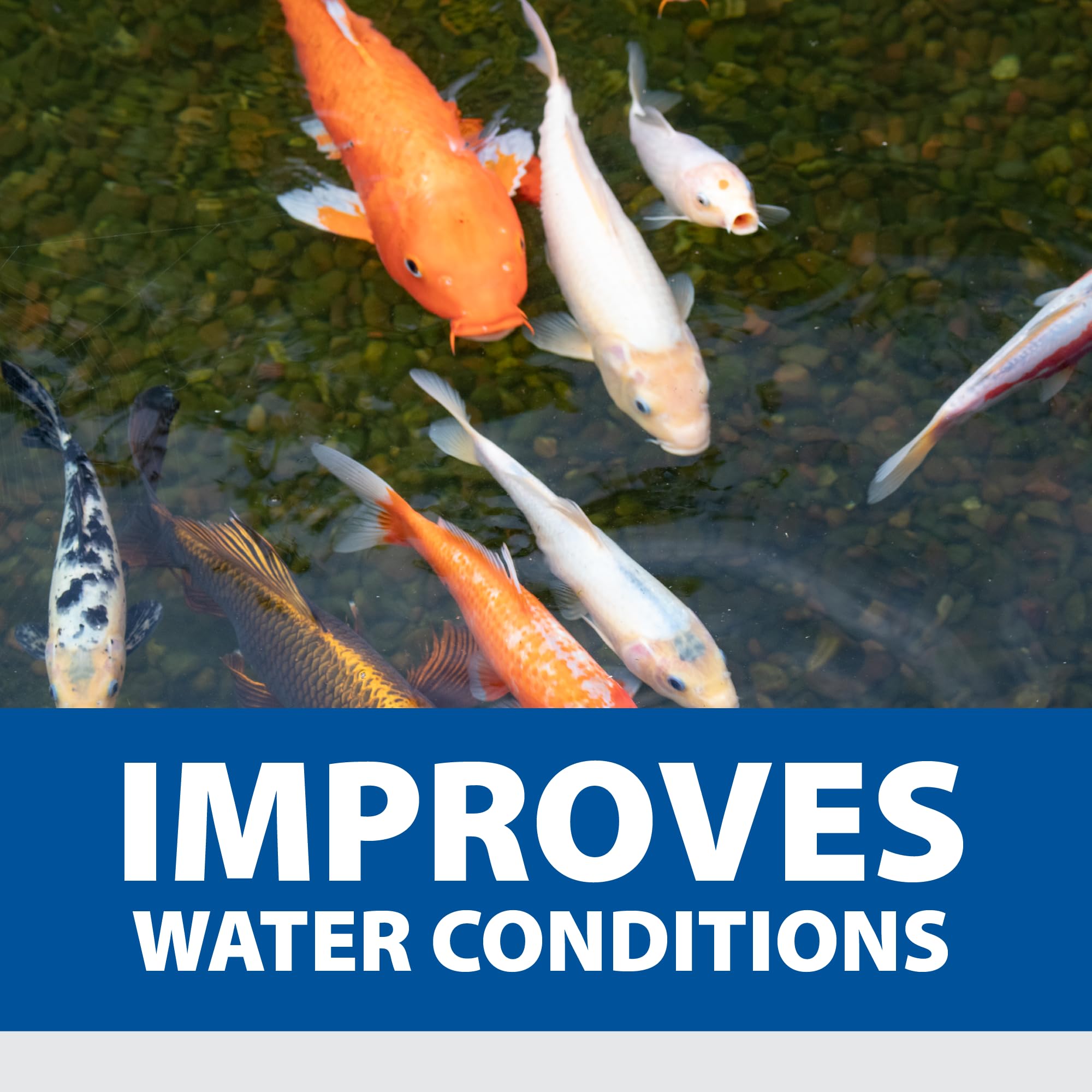 Decorative backyard pond using The Pond Guy for cleaner, fresher water