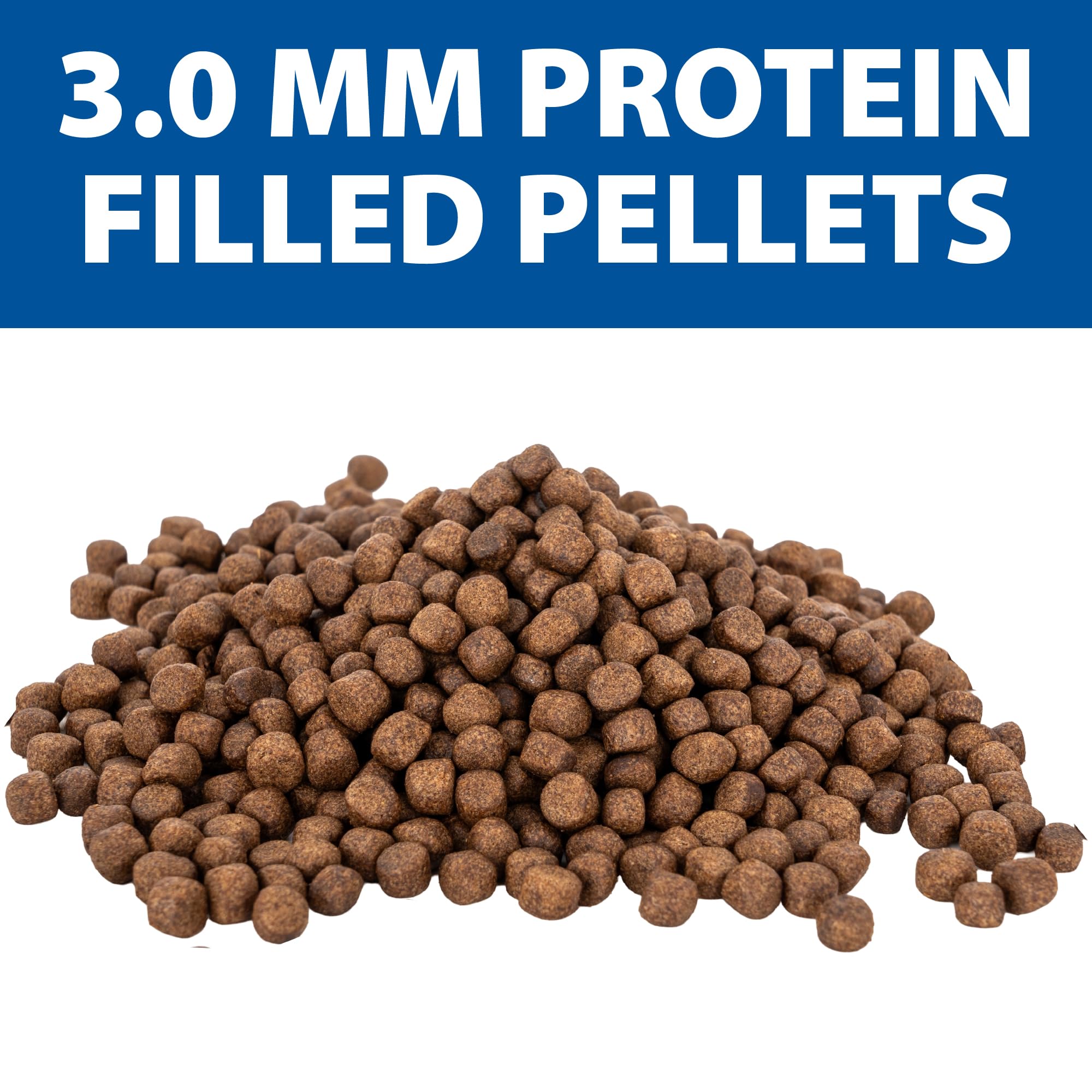 The Pond Guy pellets floating on pond surface for controlled feedings