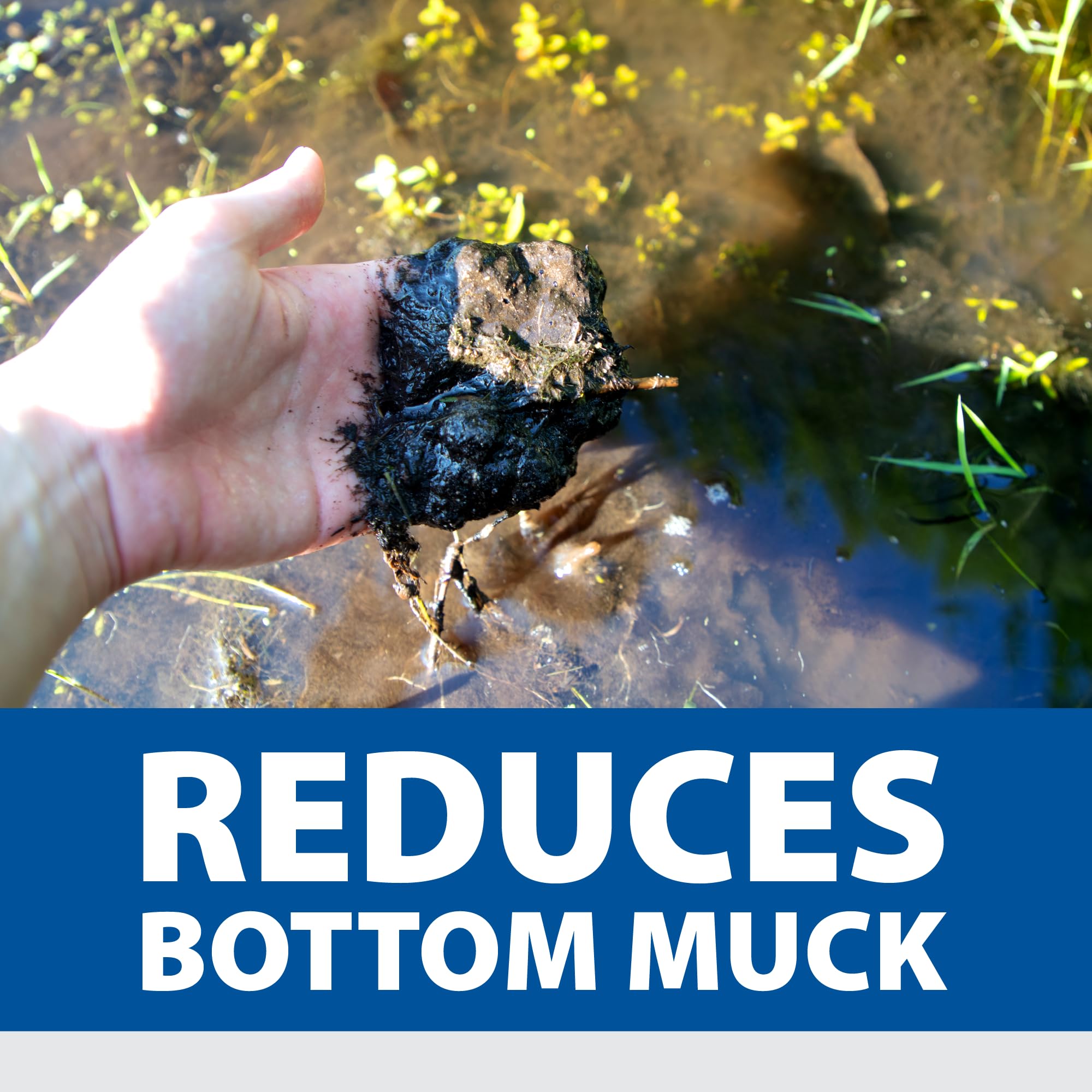 Tablets from The Pond Guy sinking to pond bottom to target sludge directly