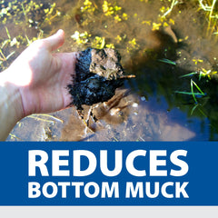Tablets from The Pond Guy sinking to pond bottom to target sludge directly