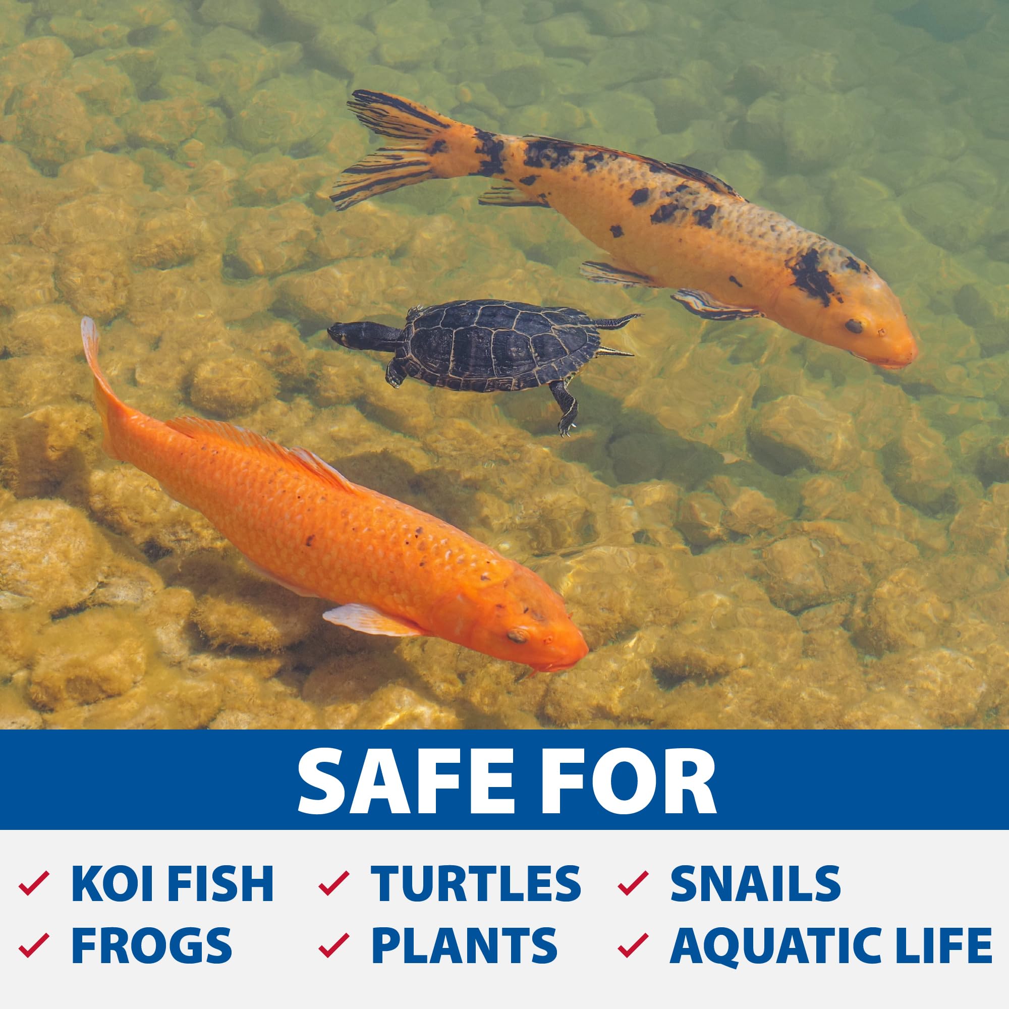 The Pond Guy scale image with hand showing unit size for easy planning benefit