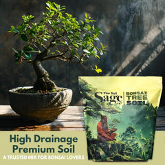 The Soil Sage mix used in a bonsai pot demonstrating improved root aeration