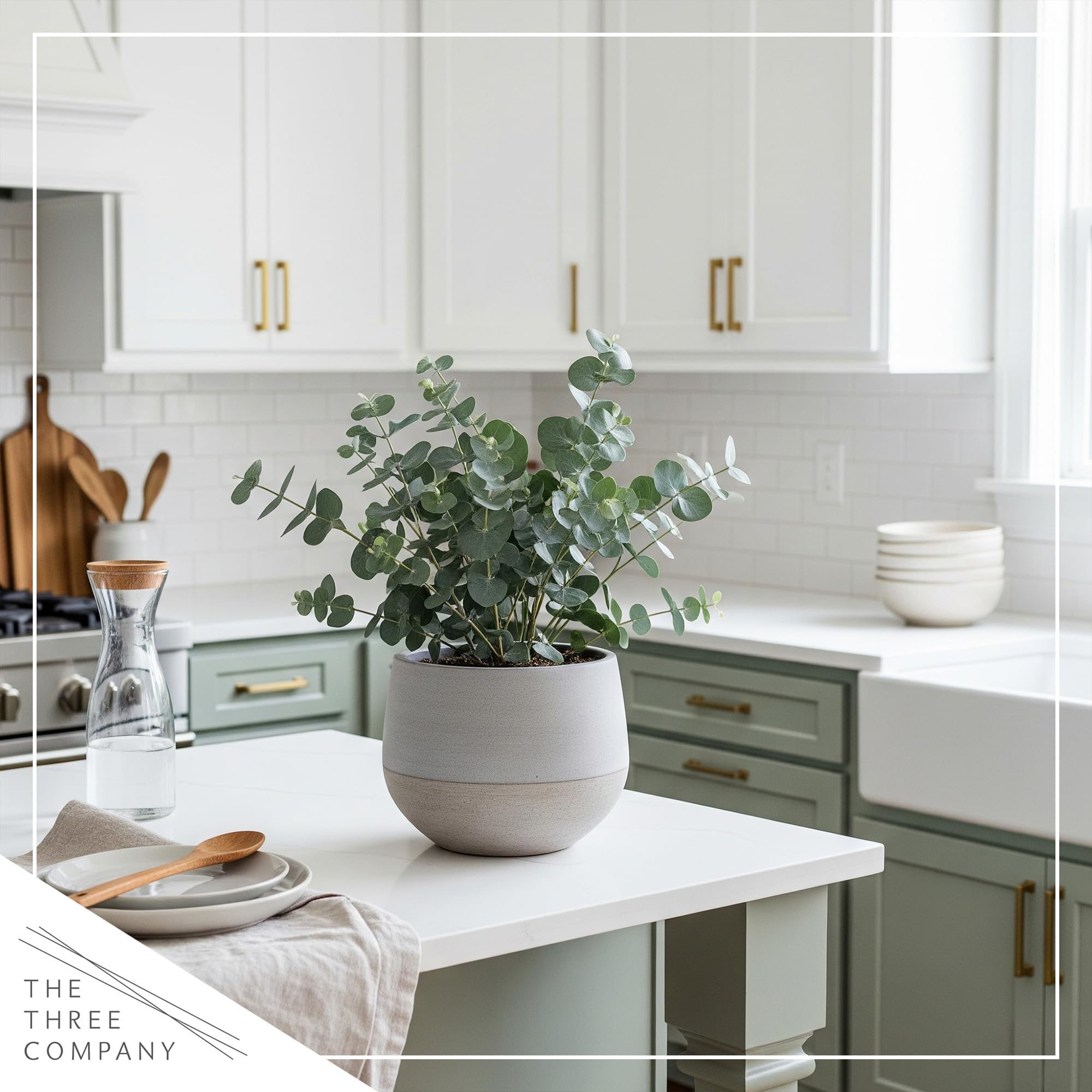 The Three Company eucalyptus dried arrangement in vase offering long‑lasting decor benefit