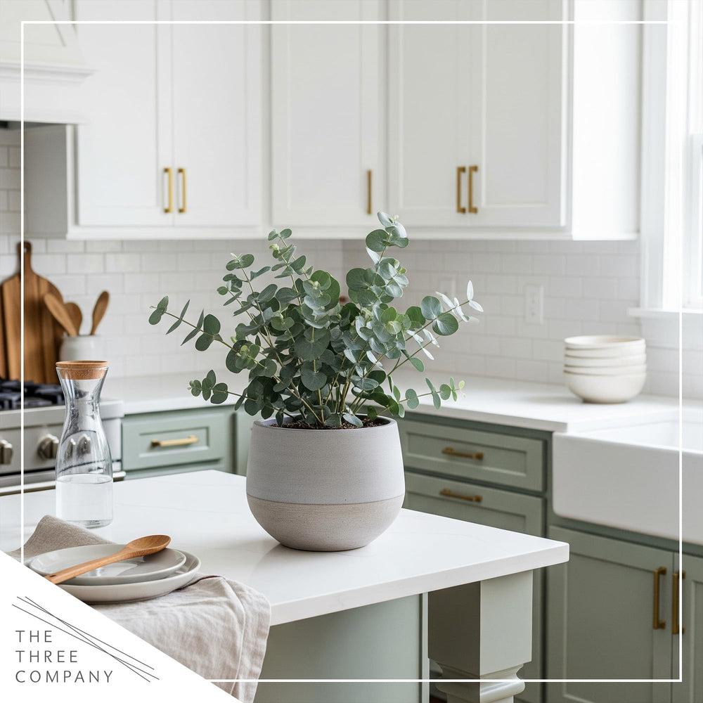 The Three Company eucalyptus dried arrangement in vase offering long‑lasting decor benefit