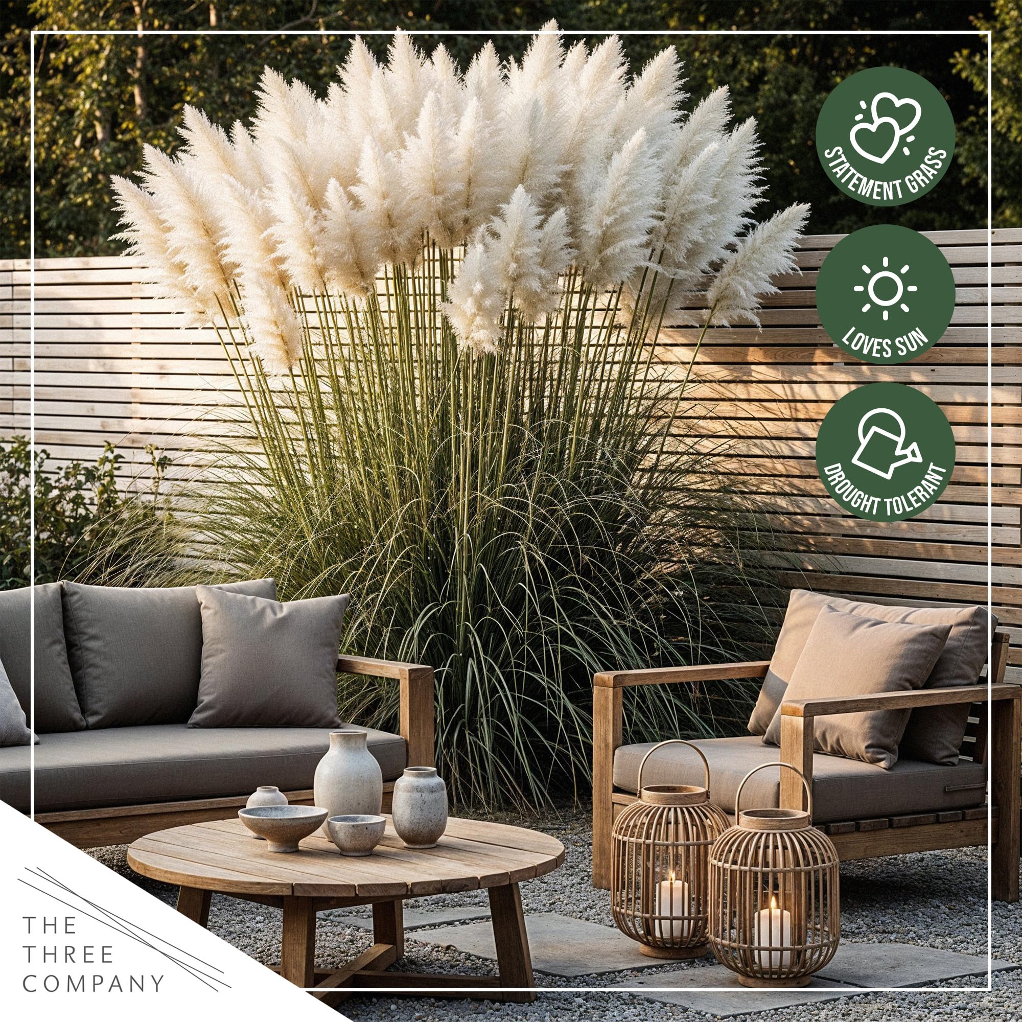 The Three Company dried pampas plumes styled in a vase for long-lasting decorative use