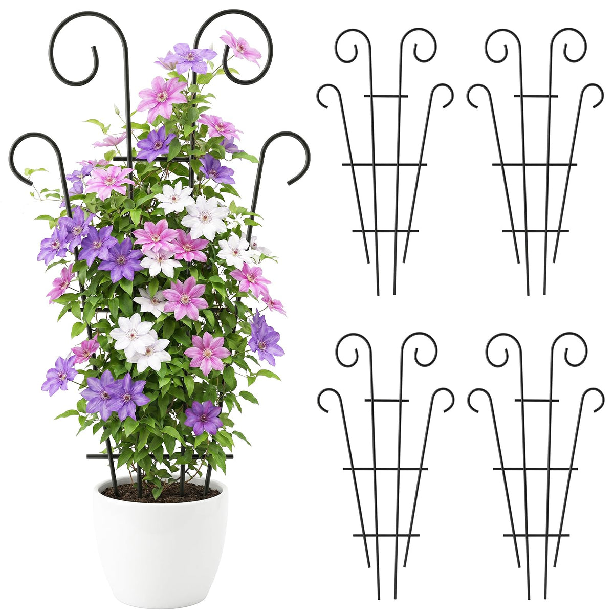 Thealyn front view of four trellises showing elegant wave design and neat vertical support