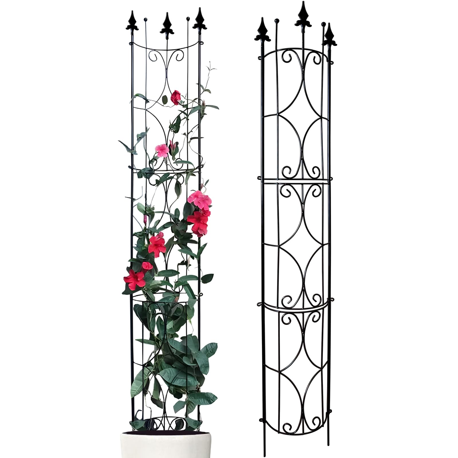 Thealyn front view arch trellis showing clean profile and strong support