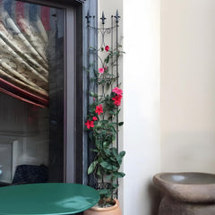 Thealyn trellis in pot indoors showcasing vertical plant display benefit