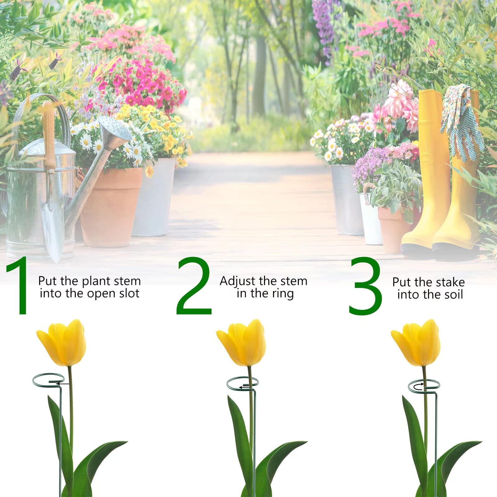 Thealyn in use with a tomato plant offering upright support and reduced bending