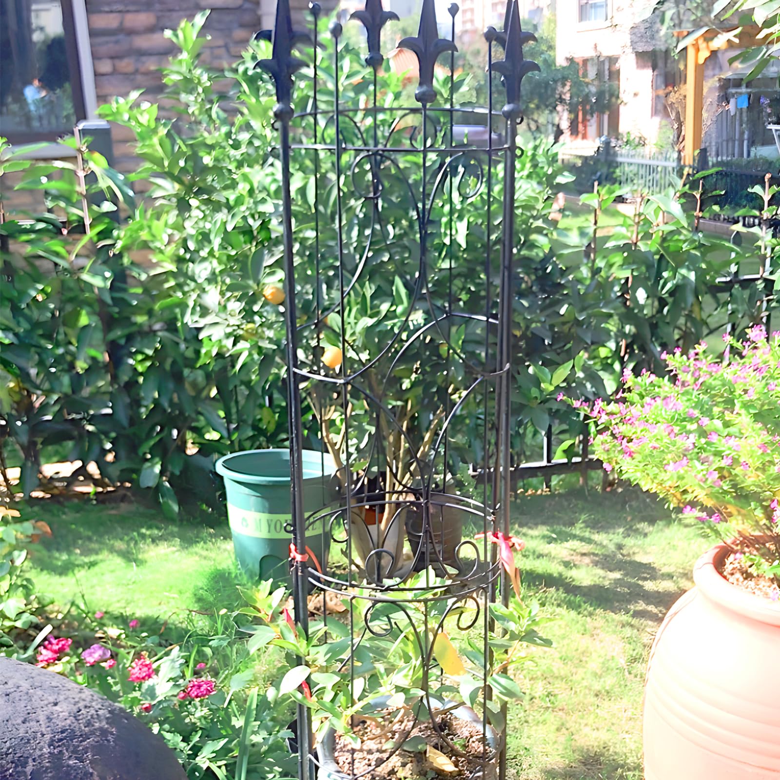 Thealyn trellis beside ruler illustrating 72-inch height for tall climbers