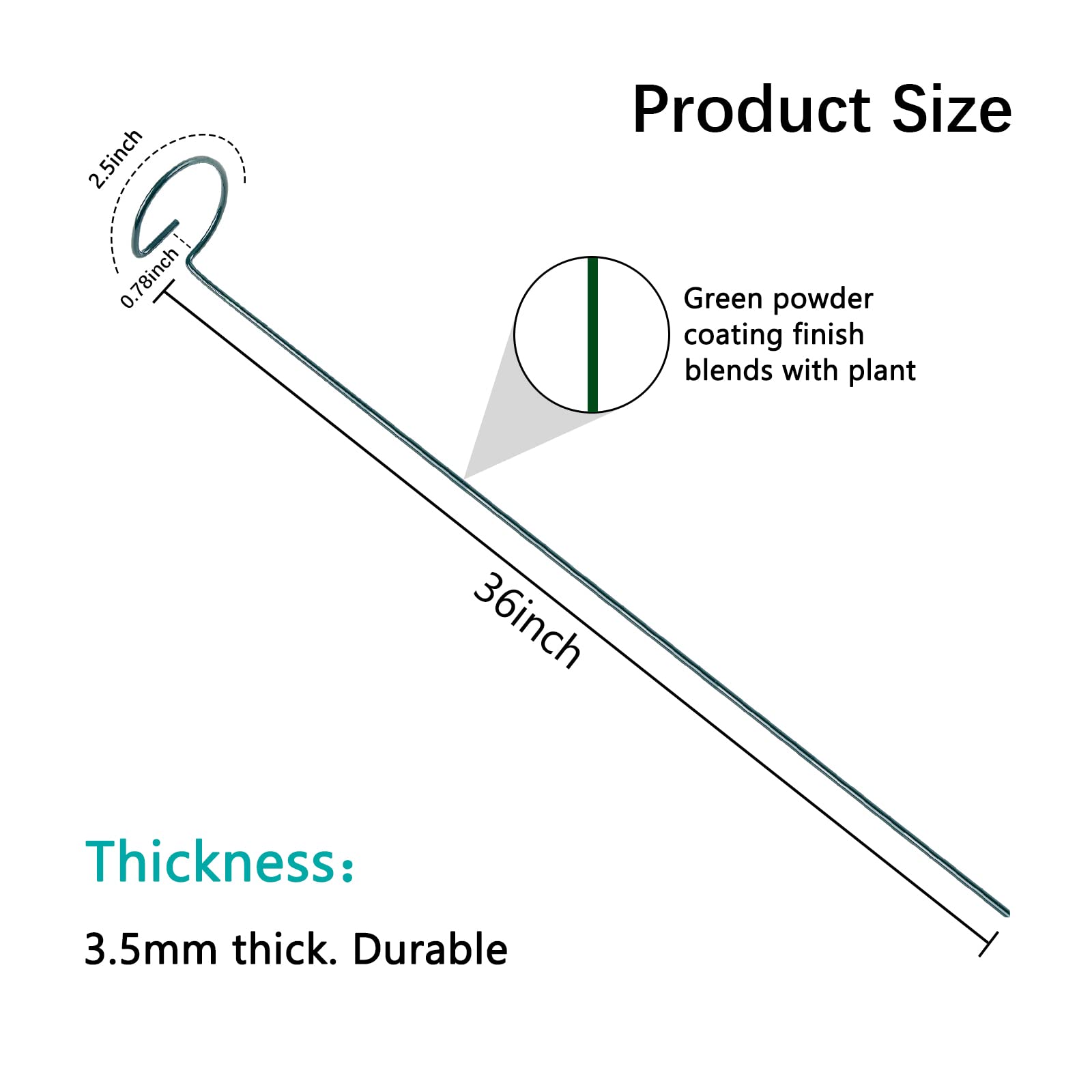 Thealyn top ring detail showing 2.5-inch diameter that gently cradles stems