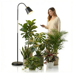 TheOneGrow front view floor lamp showing sleek design and versatile lighting benefit