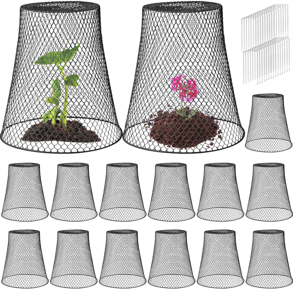 Therwen front view of black metal cloche protecting young plants, clear protection