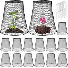 Therwen front view of black metal cloche protecting young plants, clear protection