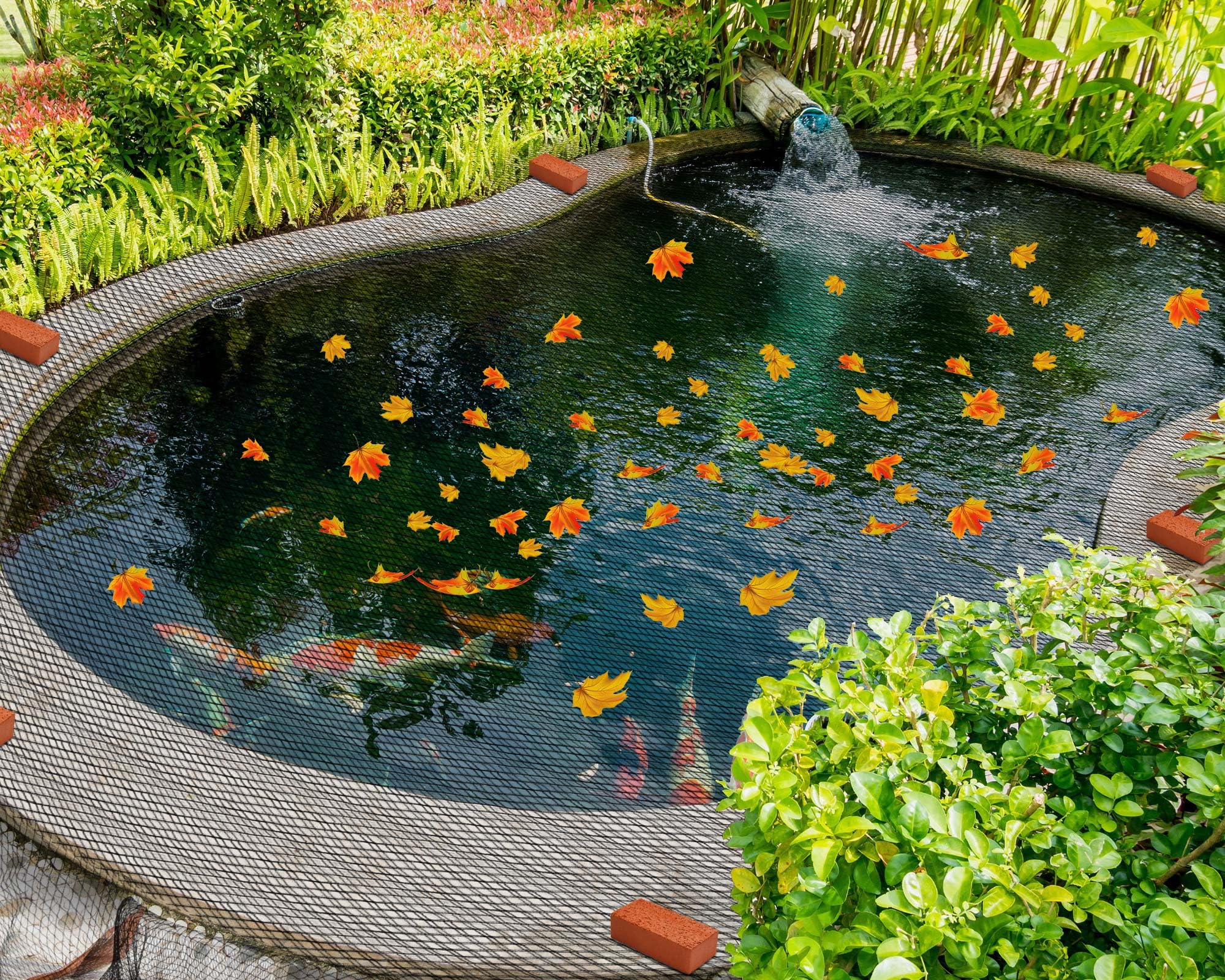 Therwen lifestyle backyard pool scene showing cleaner water and seasonal convenience