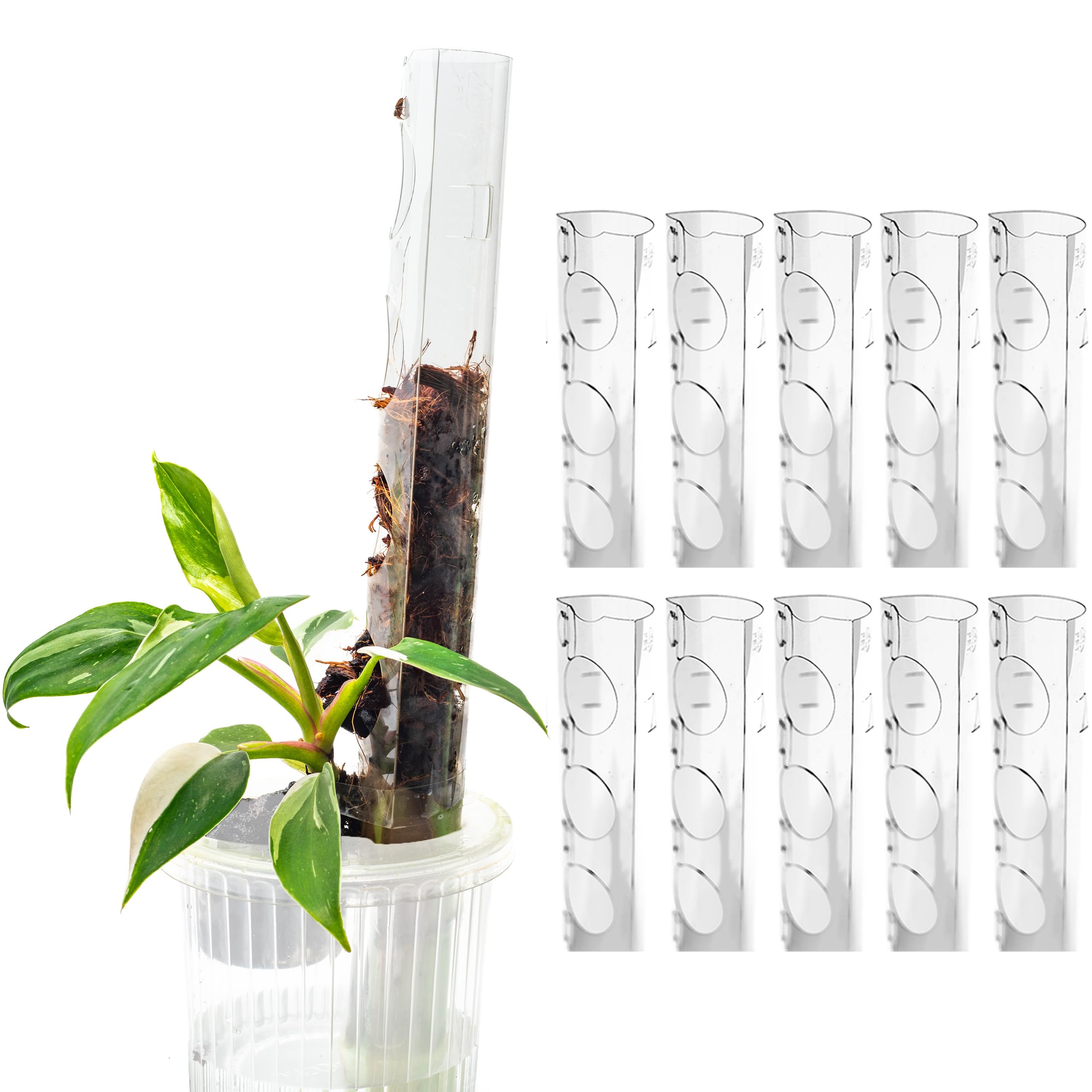 THICCLY GrowPole front view showing ten assembled poles offering stable plant support