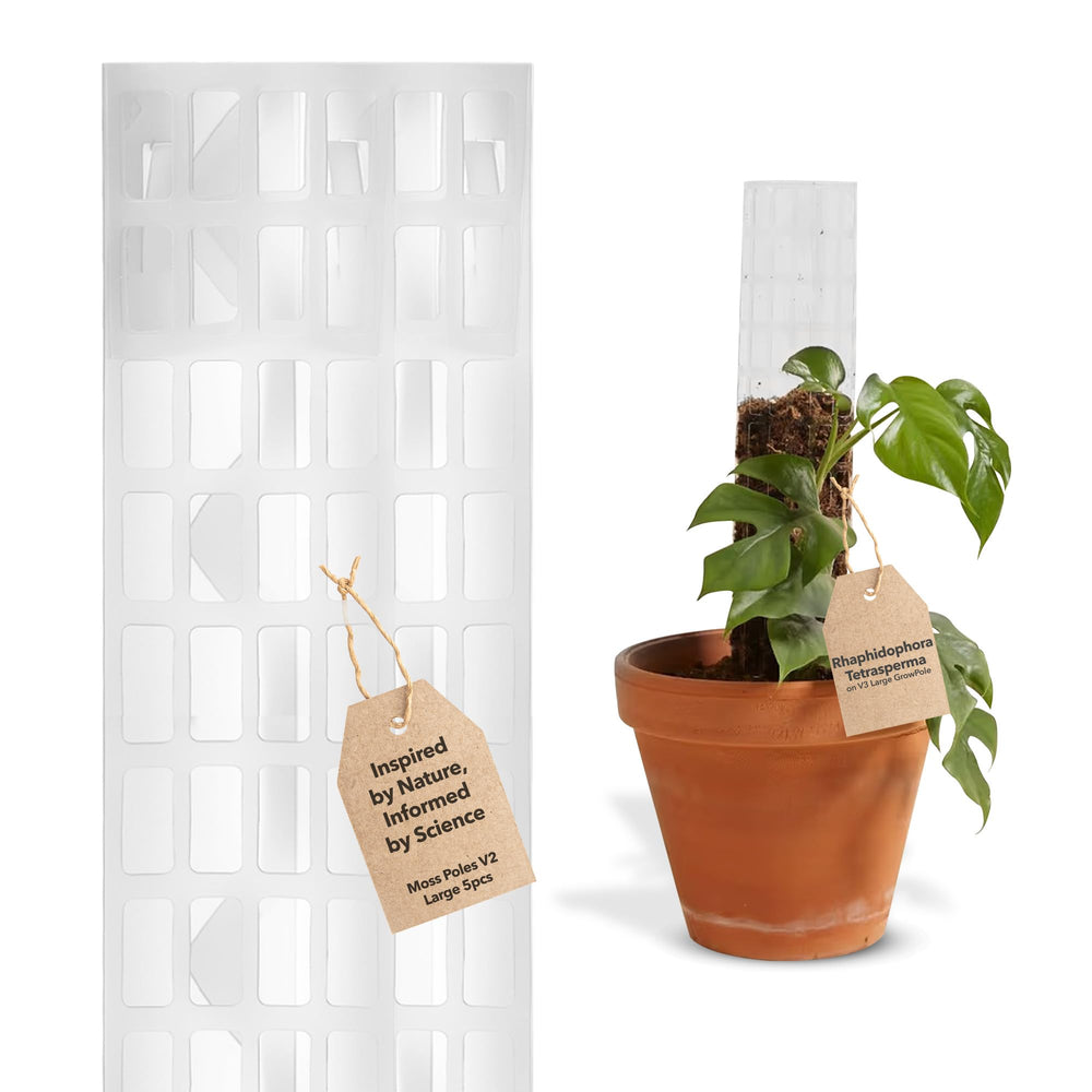 THICCLY V2 front view showing five-piece moss pole kit for stable plant support