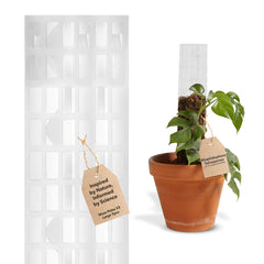 THICCLY V2 front view showing five-piece moss pole kit for stable plant support