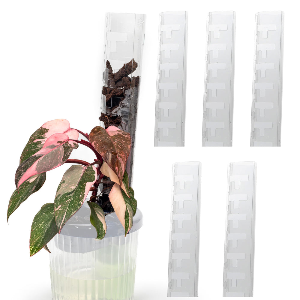 THICCLY front view showing five assembled moss poles and stable support