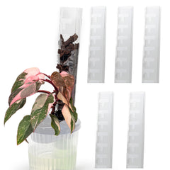 THICCLY front view showing five assembled moss poles and stable support