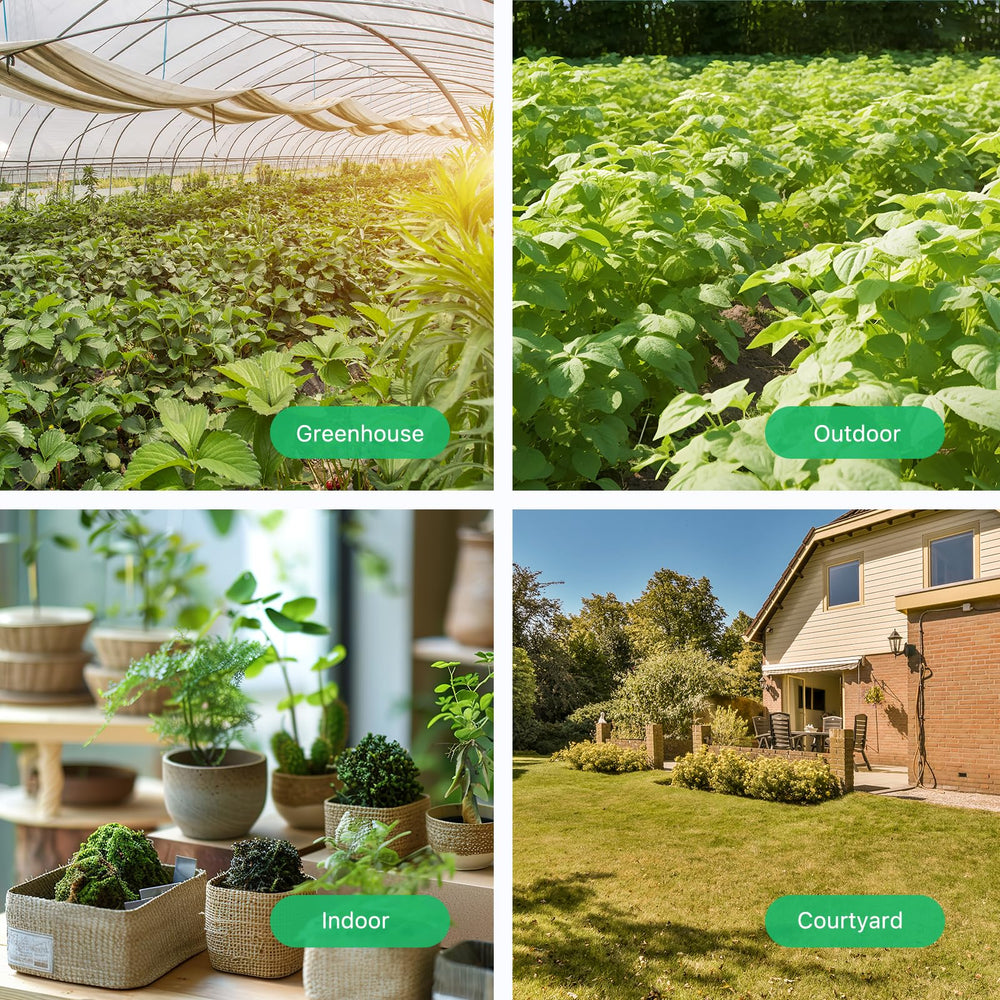 THIRDREALITY sensors distributed across greenhouse beds for zone monitoring