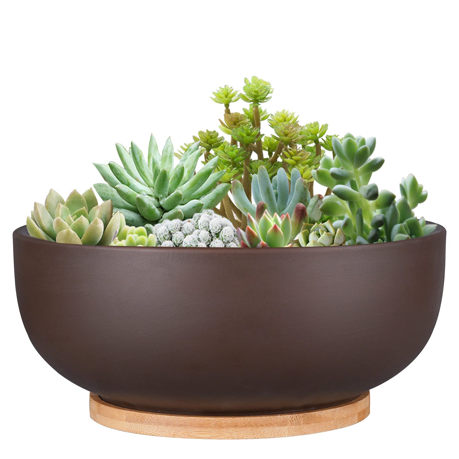 Thirtypot front view of 10 inch terracotta planter highlighting classic look and balance