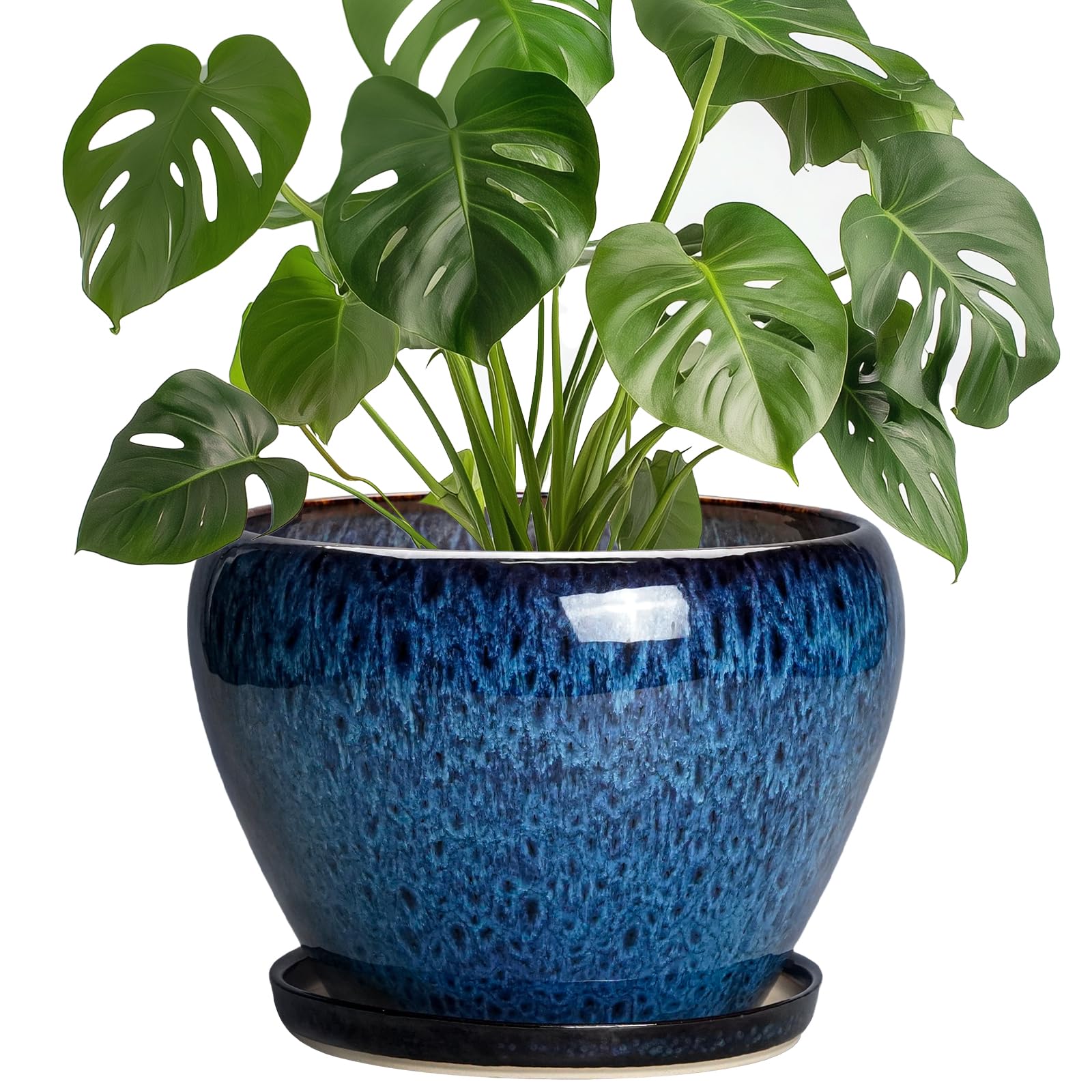 Thirtypot front view blue planter showcasing modern shape and finish benefits display