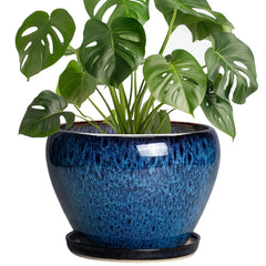 Thirtypot front view blue planter showcasing modern shape and finish benefits display