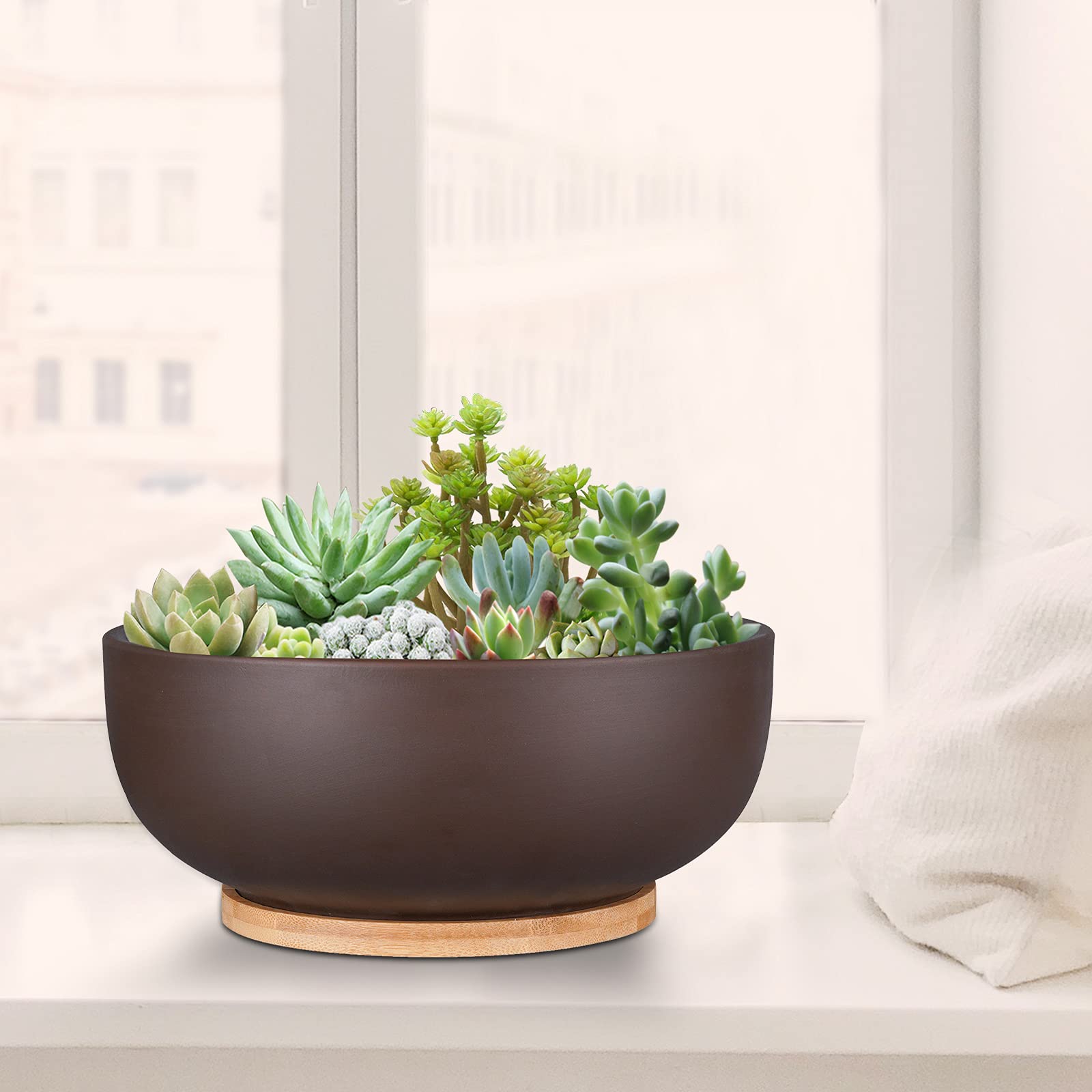 Thirtypot planter styled on a living room shelf adding natural warmth to décor