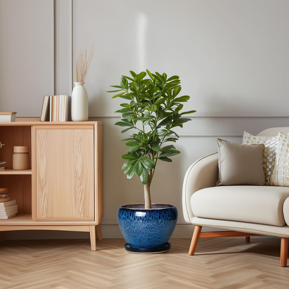 Thirtypot next to a ruler showing 10 inch scale to visualize size and planting capacity