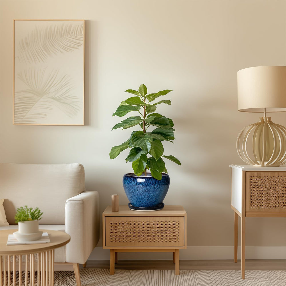 Thirtypot size comparison in hand showing true scale and fit for medium plants benefit