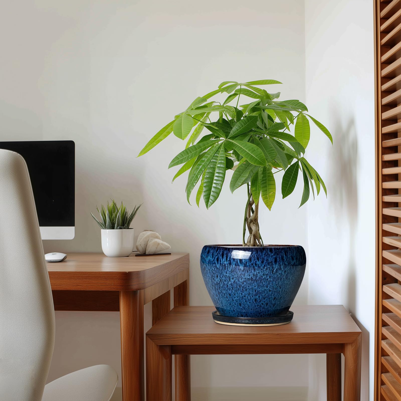 Thirtypot with pothos on shelf displaying decorative appeal and space-saving benefit