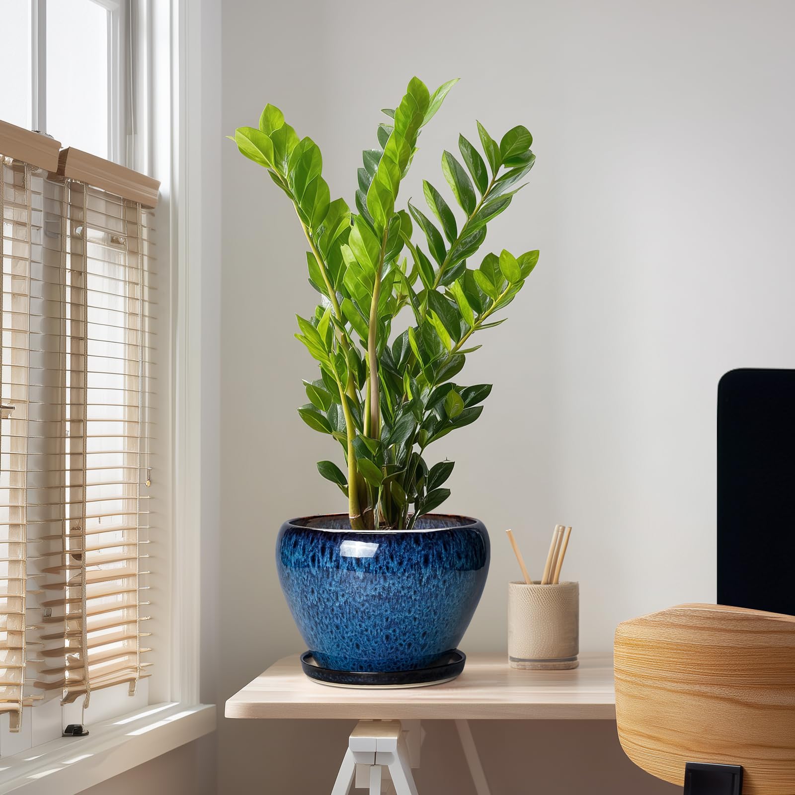 Thirtypot in use with snake plant demonstrating plant support and modern indoor styling