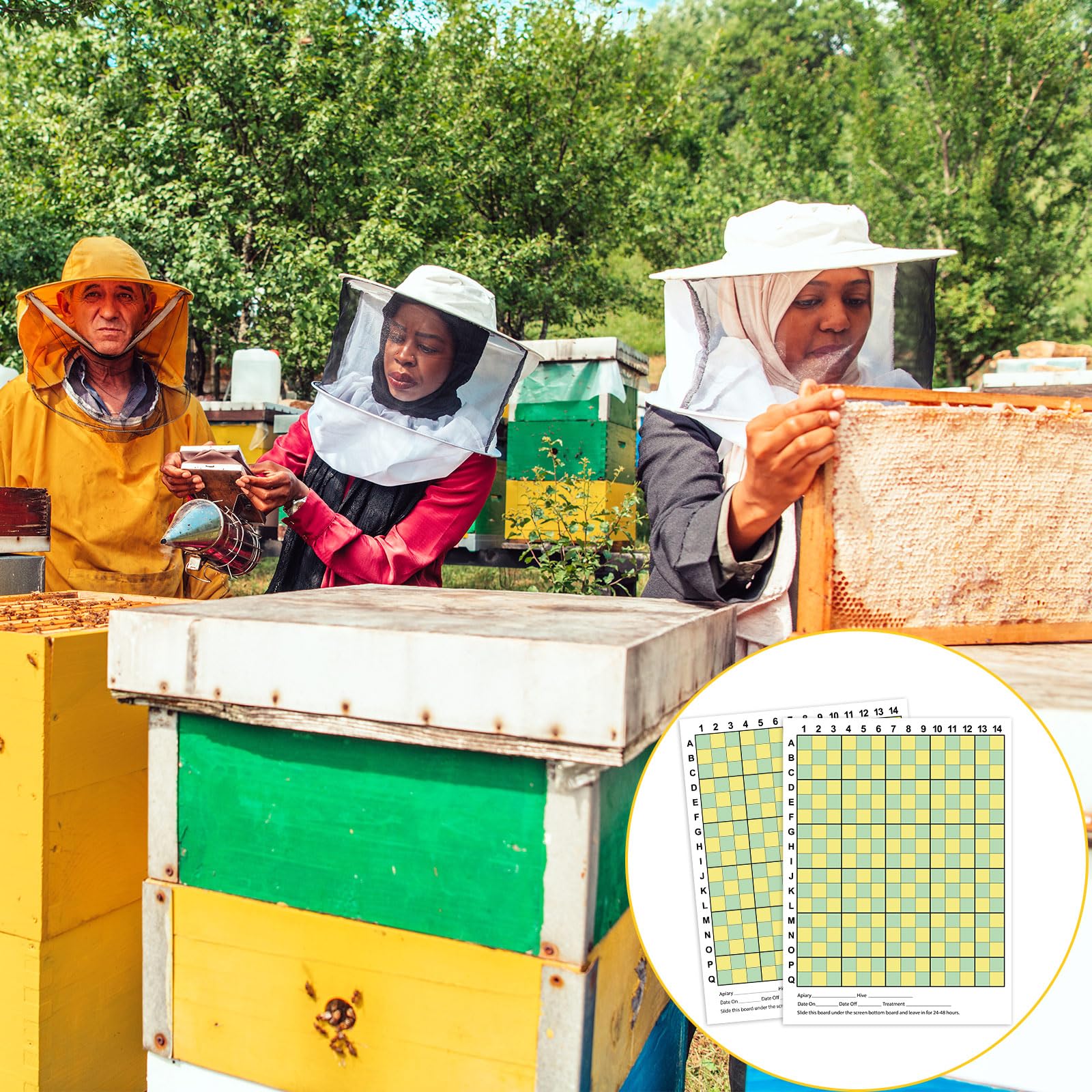 Threehoney six-pack stacked to show quantity supplied and convenience for multiple checks