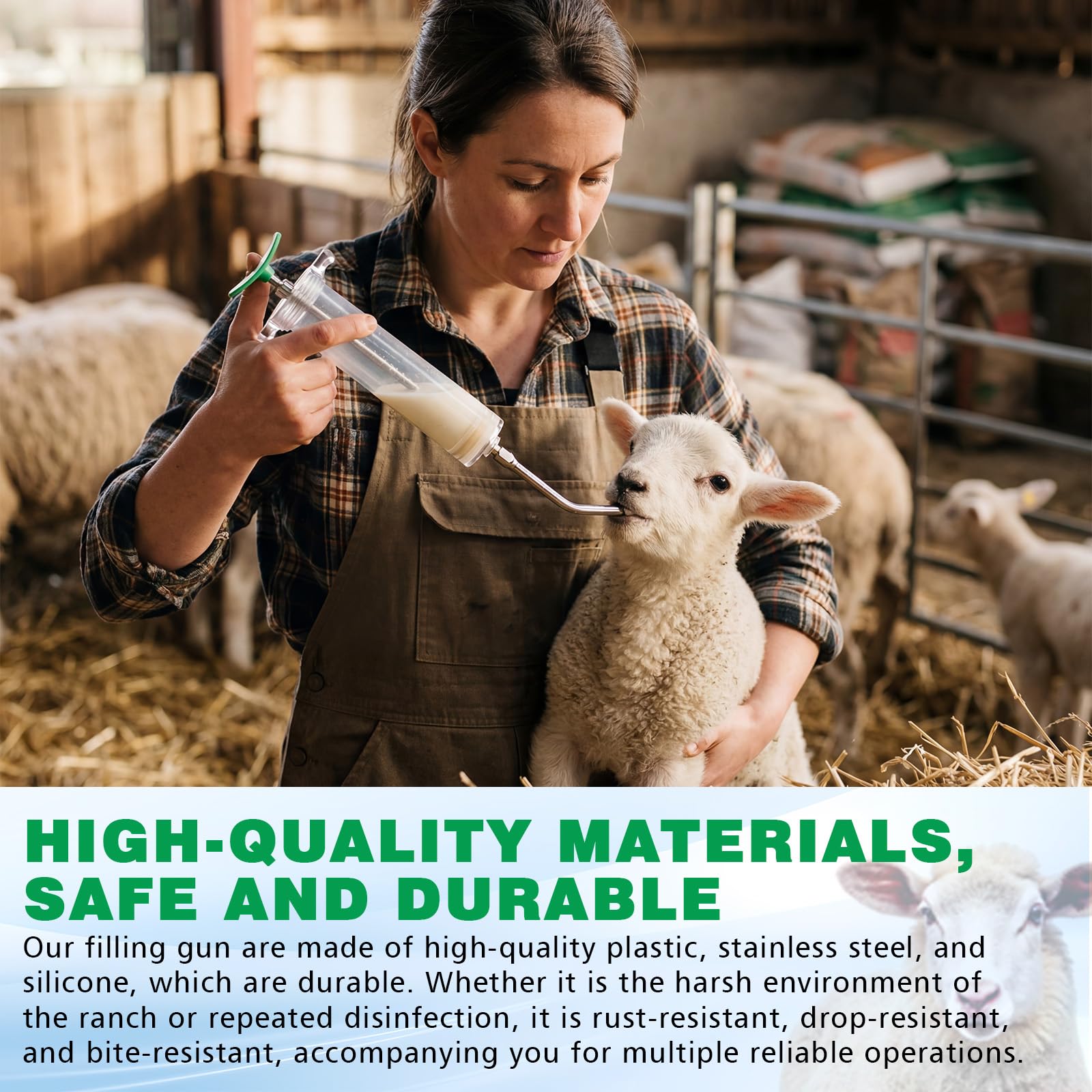 Threlaco drench gun used on a sheep in a barn to speed dosing