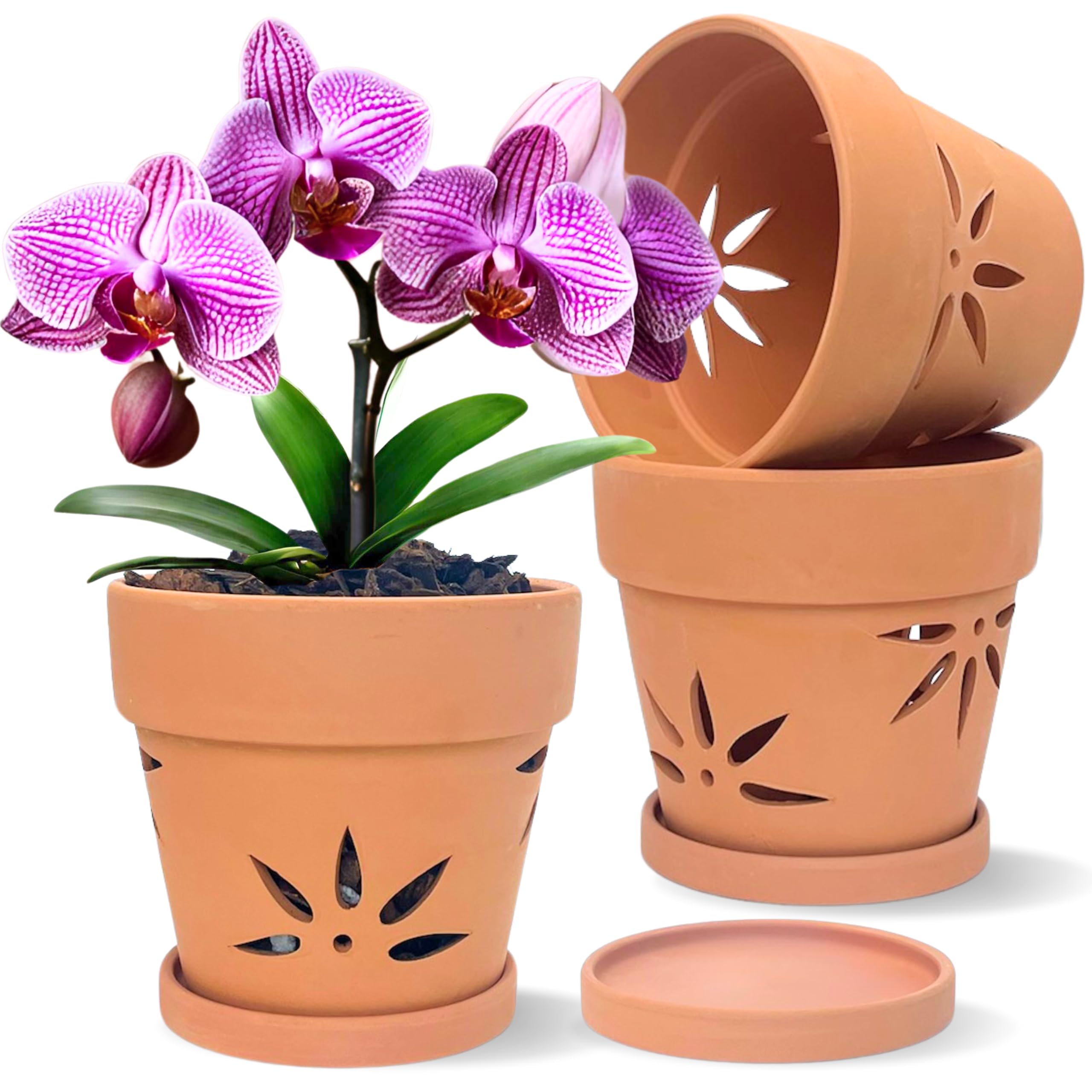 Thriving Thicket front view of three terracotta orchid pots showing elegant finish and utility